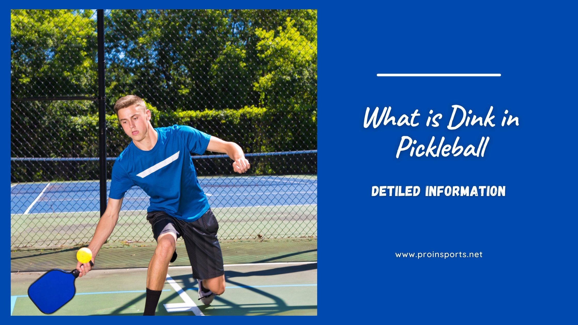 What Is Dink In Pickleball? Find Out How To Dink